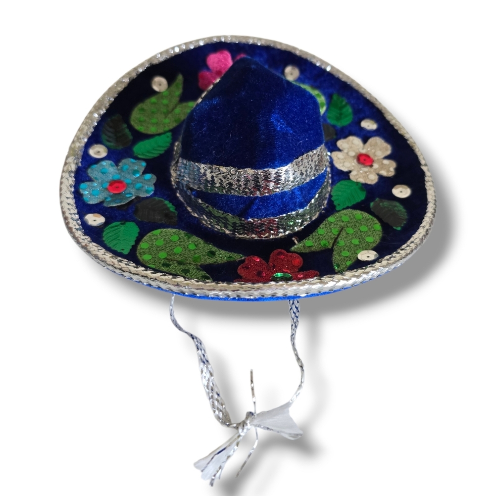 π Host Pick π Mexican Blue and Silver Small Dog Mini Sombrero - Picture 9 of 16